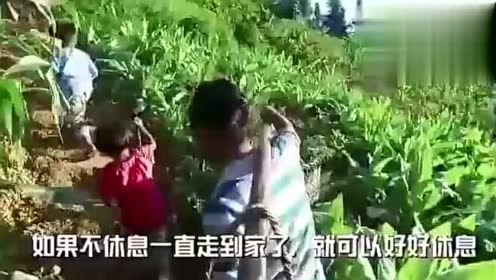 江南学姐吃瓜视频大全,揭秘娱乐圈幕后故事
