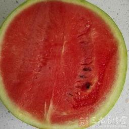 感冒吃小瓜,小瓜助力恢复健康