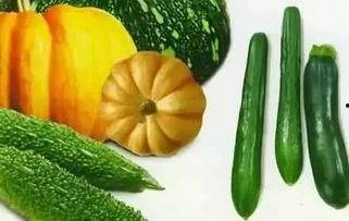 浣溪沙吃瓜,夏日消暑，瓜果飘香