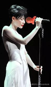 吃瓜的麦克,揭秘娱乐圈幕后故事