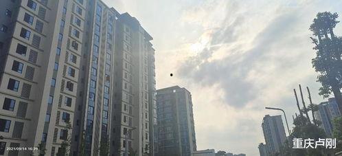 融创小区吃瓜
