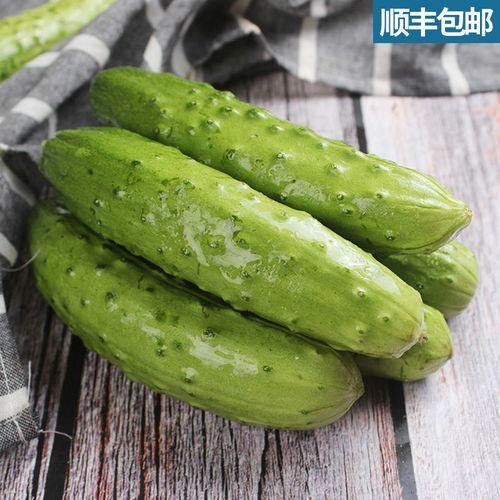 吃脆瓜的季节